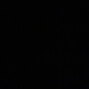 Meet your Posher, Evelyn